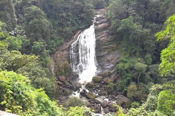 Mscb Guest House Idukki Kültér fotó